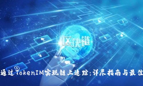 如何通过TokenIM实现链上追踪：详尽指南与最佳实践