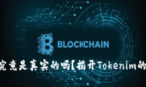 Tokenim究竟是真实的吗？揭开Tokenim的神秘面纱