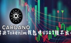 如何解决Tokenim钱包中USD