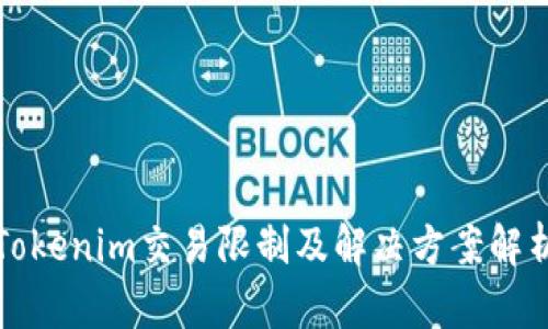 Tokenim交易限制及解决方案解析