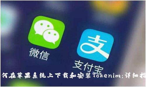 如何在苹果系统上下载和安装Tokenim：详细指南