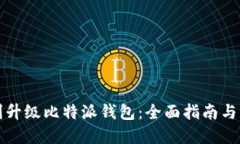 如何顺利升级比特派钱包