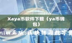 探索Tokenim正版：区块链与