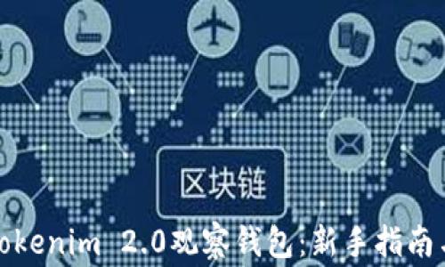 
如何制作Tokenim 2.0观察钱包：新手指南与注意事项