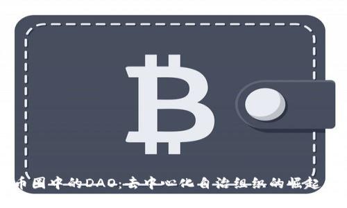 深入探讨币圈中的DAO：去中心化自治组织的崛起与未来展望