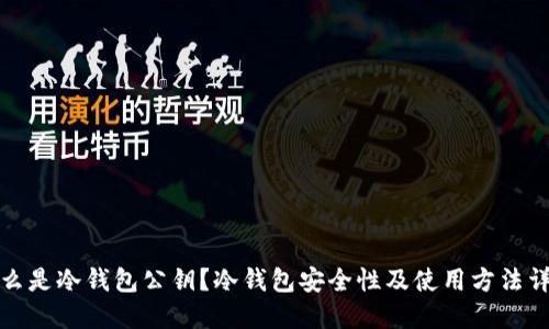什么是冷钱包公钥？冷钱包安全性及使用方法详解