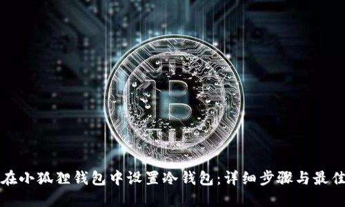 如何在小狐狸钱包中设置冷钱包：详细步骤与最佳实践