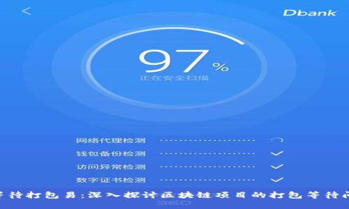 Tokenim取消等待打包易：深入探讨区块链项目的打包等待问题与解决方案