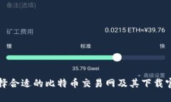 如何选择合适的比特币交