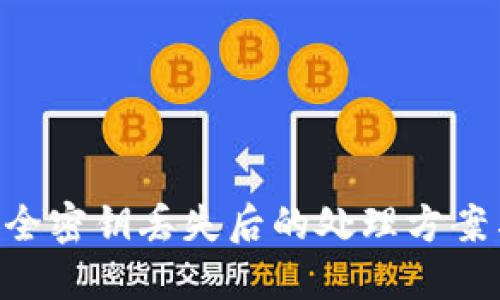 Tokenim安全密钥丢失后的处理方案与防范措施