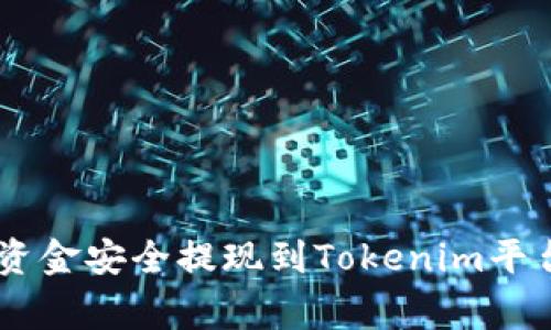 df:disp/df:disp如何将资金安全提现到Tokenim平台？全面指南与注意事项