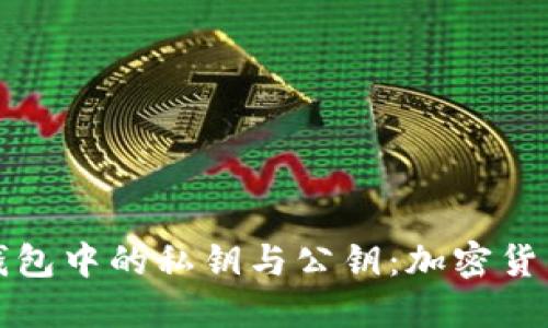 深入理解冷钱包中的私钥与公钥：加密货币安全的基础