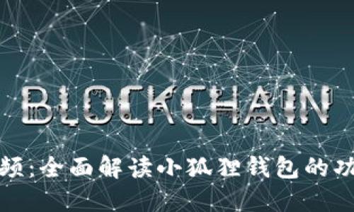 《小狐狸钱包视频：全面解读小狐狸钱包的功能与使用技巧》