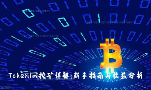 Tokenim挖矿详解：新手指南与收益分析