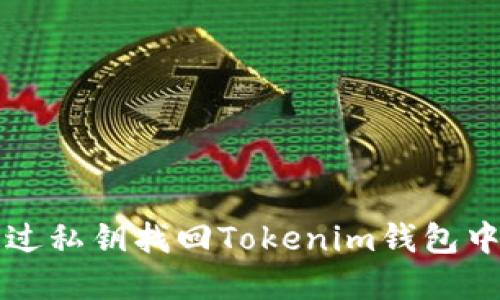 如何通过私钥找回Tokenim钱包中的资产