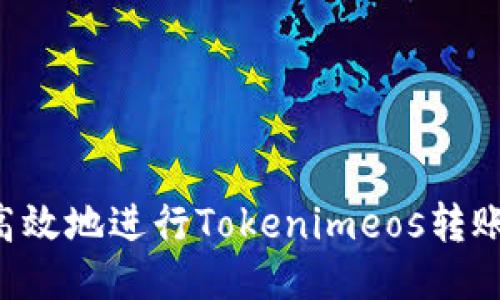 如何安全高效地进行Tokenimeos转账：全面指南