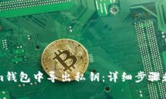 如何在Tokenim钱包中导出私