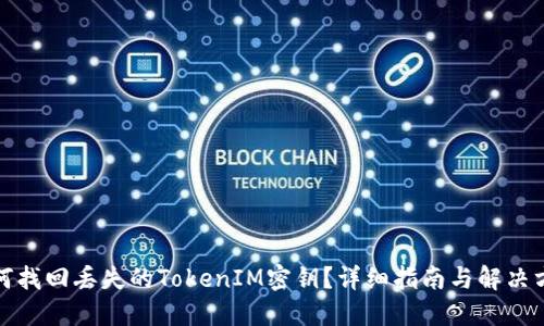如何找回丢失的TokenIM密钥？详细指南与解决方案