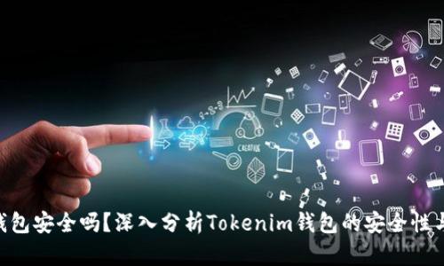 Tokenim钱包安全吗？深入分析Tokenim钱包的安全性与盗刷隐患