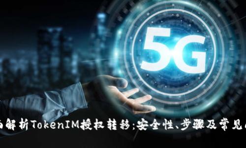 全面解析TokenIM授权转移：安全性、步骤及常见问题
