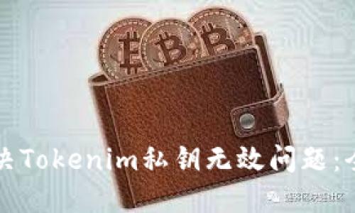 如何解决Tokenim私钥无效问题：全面指南