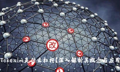 Tokenim是什么杠杆？深入解析其概念与应用