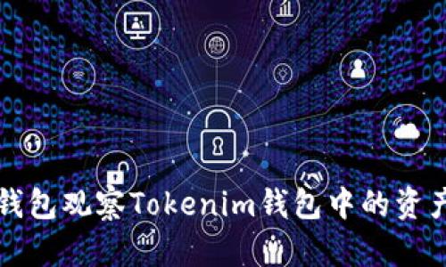 如何通过TP钱包观察Tokenim钱包中的资产和交易记录