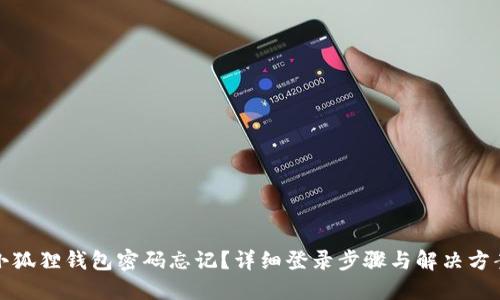 小狐狸钱包密码忘记？详细登录步骤与解决方案