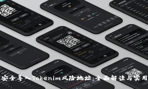如何安全导入Tokenim风险地址：全面解读与实用指南