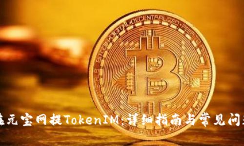 如何在元宝网提TokenIM：详细指南与常见问题解答