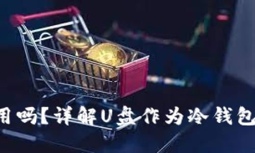 U盘可以当冷钱包用吗？详解U盘作为冷钱包的可行性与安全性