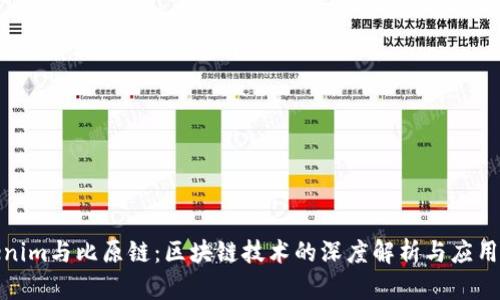 Tokenim与比原链：区块链技术的深度解析与应用前景