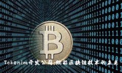 Tokenim开发公司：赋能区块