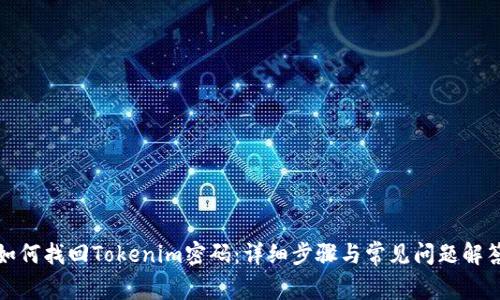 如何找回Tokenim密码：详细步骤与常见问题解答