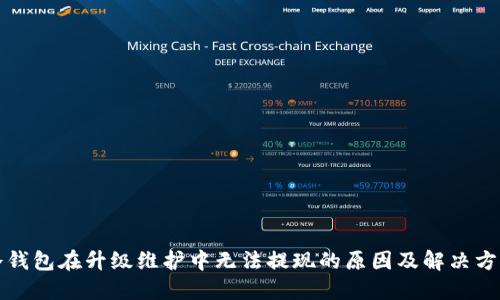 冷钱包在升级维护中无法提现的原因及解决方案