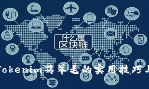 全面解析Tokenim薅羊毛的实用技巧与注意事项