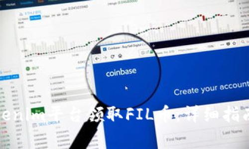 如何通过Tokenim平台领取FIL币：详细指南与注意事项