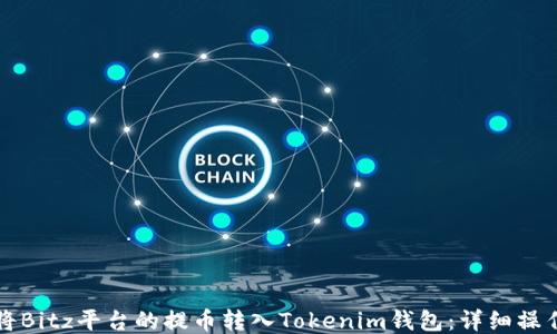 
如何将Bitz平台的提币转入Tokenim钱包：详细操作指南