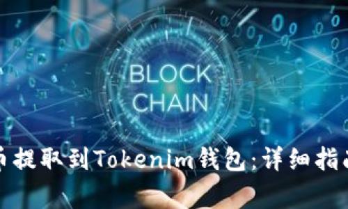 如何将虚拟币提取到Tokenim钱包：详细指南与注意事项