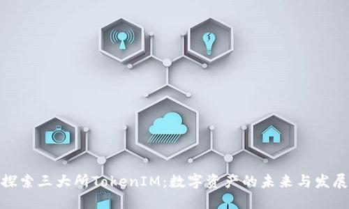 探索三大所TokenIM：数字资产的未来与发展