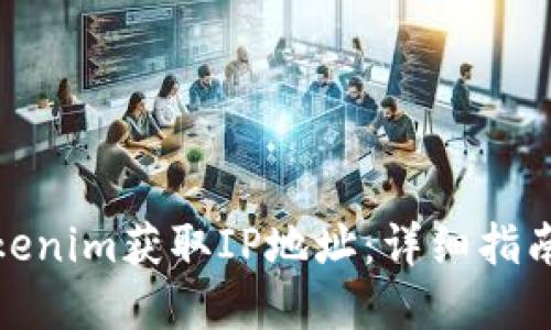 如何使用Tokenim获取IP地址：详细指南与应用实例