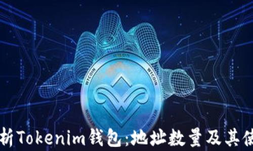 
深度解析Tokenim钱包：地址数量及其使用方法