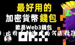 中本聪日：比特币创造者