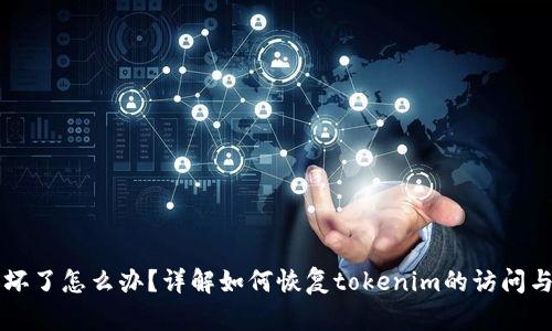 手机坏了怎么办？详解如何恢复tokenim的访问与数据