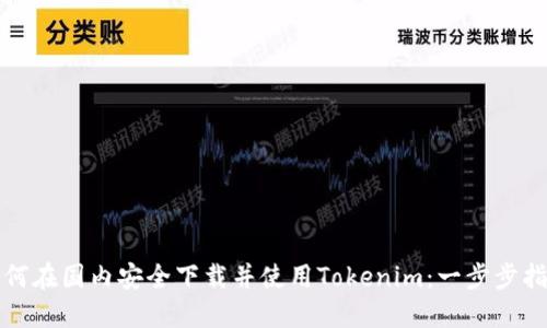 如何在国内安全下载并使用Tokenim：一步步指南