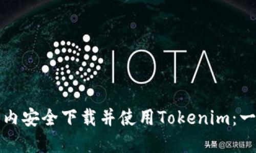 如何在国内安全下载并使用Tokenim：一步步指南