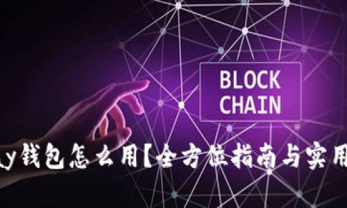 GoPay钱包怎么用？全方位指南与实用技巧
