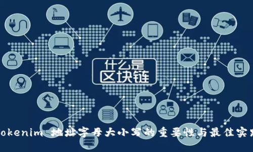 Tokenim 地址字母大小写的重要性与最佳实践