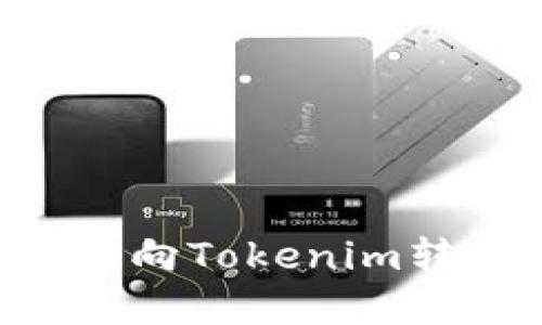 如何在鱼池中向Tokenim转账：完整指南