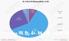如何导入Tokenim钱包私钥：